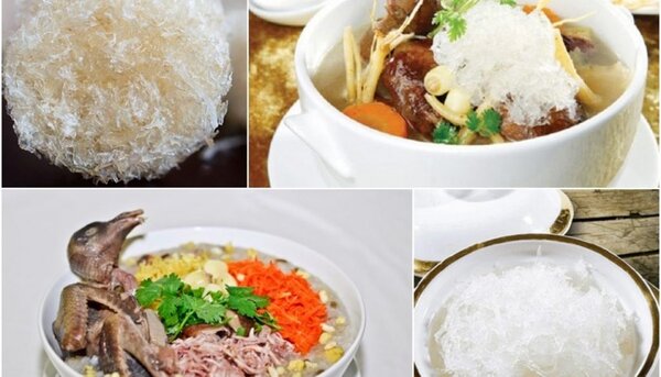 Cách chế biến yến sào hầm chim bồ câu