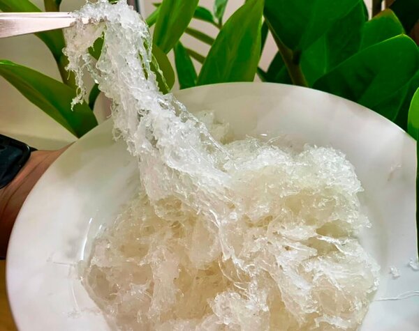 Nhặt lông yến để món ăn thêm ngon.