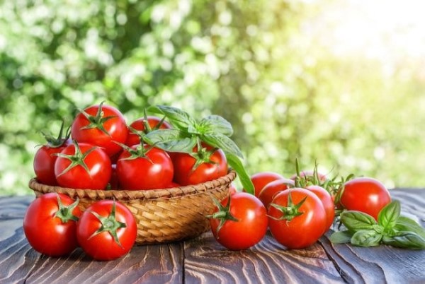 Một số lưu ý khi ăn cà chua