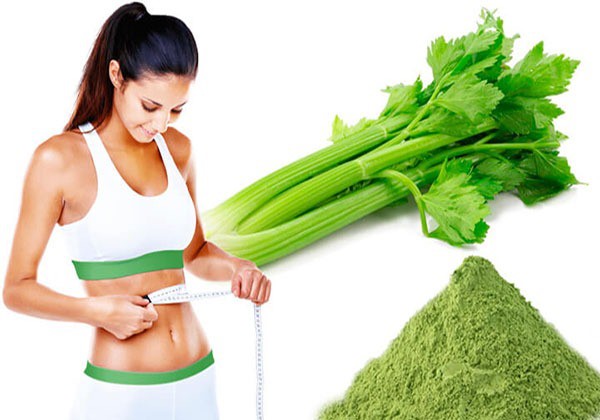 Giảm cân bằng bột cần tây