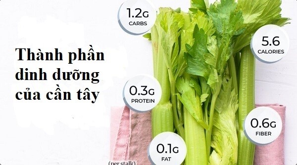 Các dưỡng chất có trong nước ép cần tây