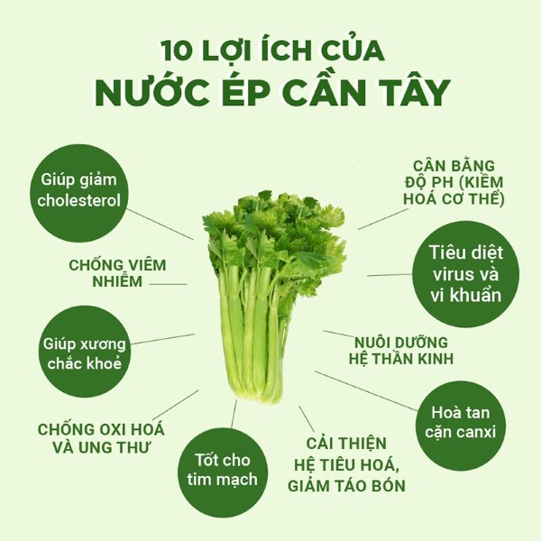 Lợi ích khi uống cần tây giảm cân mỗi ngày