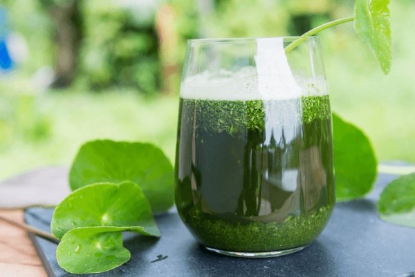 Nước rau má bao nhiêu calo?