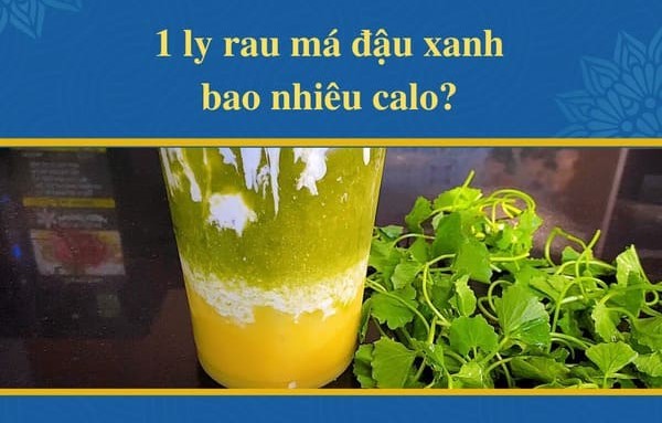 Rau má đậu xanh bao nhiêu calo?