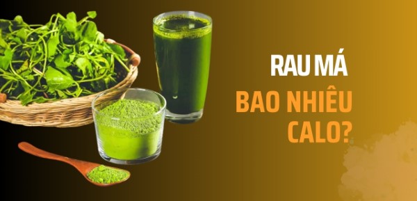 100g rau má bao nhiêu calo?