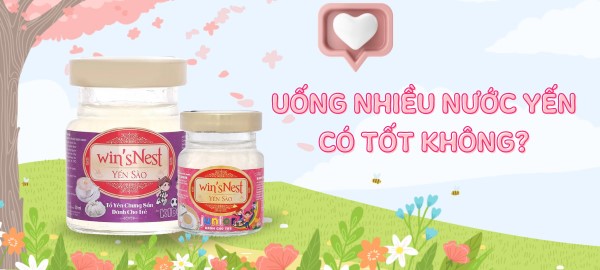 Uống nước yến nhiều có tốt không?