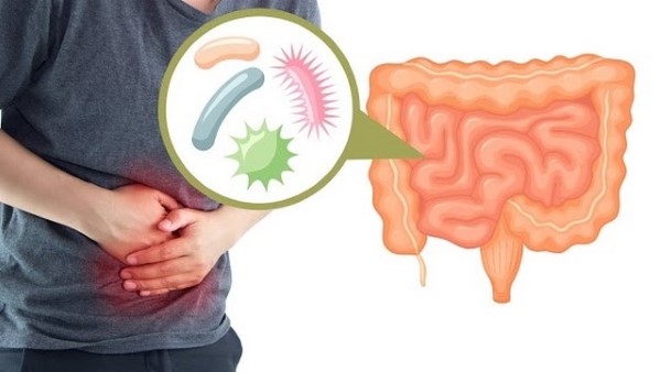 Nước yến giúp ổn định hệ tiêu hoá