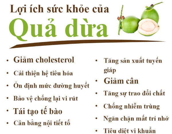 Các lợi ích từ dừa đối với sức khoẻ