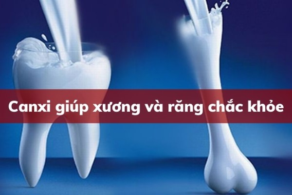 Mãng cầu giúp răng và xương chắc khỏe