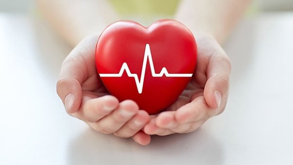 Mãng cầu giúp ngăn ngừa các bệnh lý về tim mạch