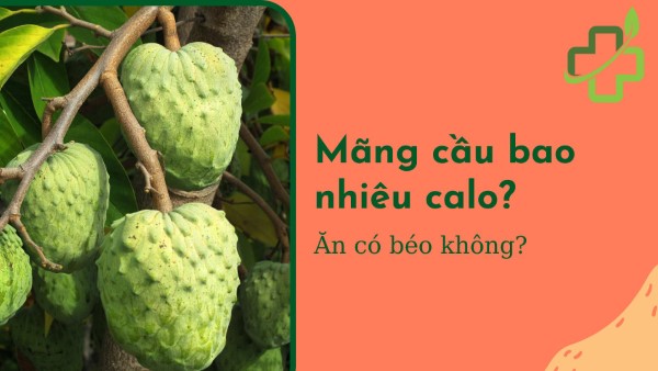 Ăn mãng cầu có tăng cân không?