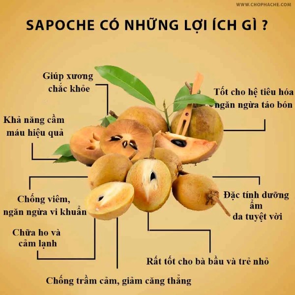 Lợi ích của Sapoche đối với sức khoẻ