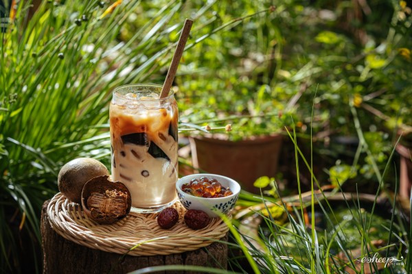 Trà bí đao pha với sữa