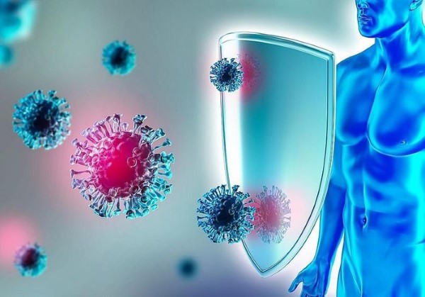 Nước sâm bí đao giúp tăng cường sức đề kháng