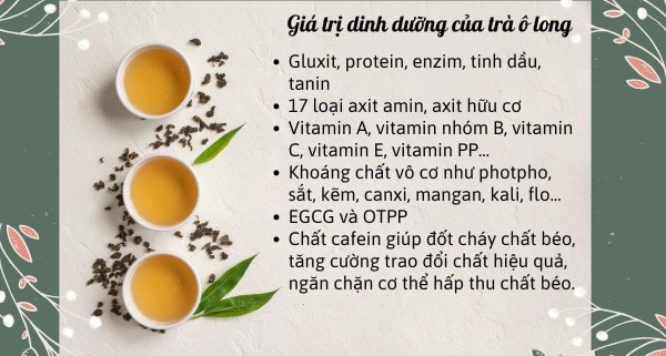 Thành phần dinh dưỡng trong trà ô long