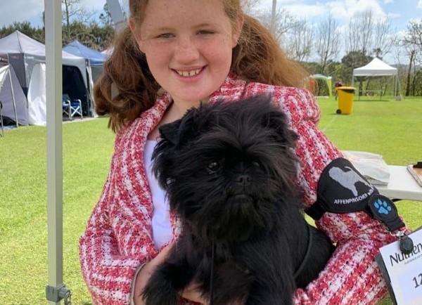 Chó Affenpinscher cần được yêu thương, quan tâm và tương tác thường xuyên