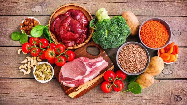 Chế độ ăn uống phù hợp cho chó sục Airedale