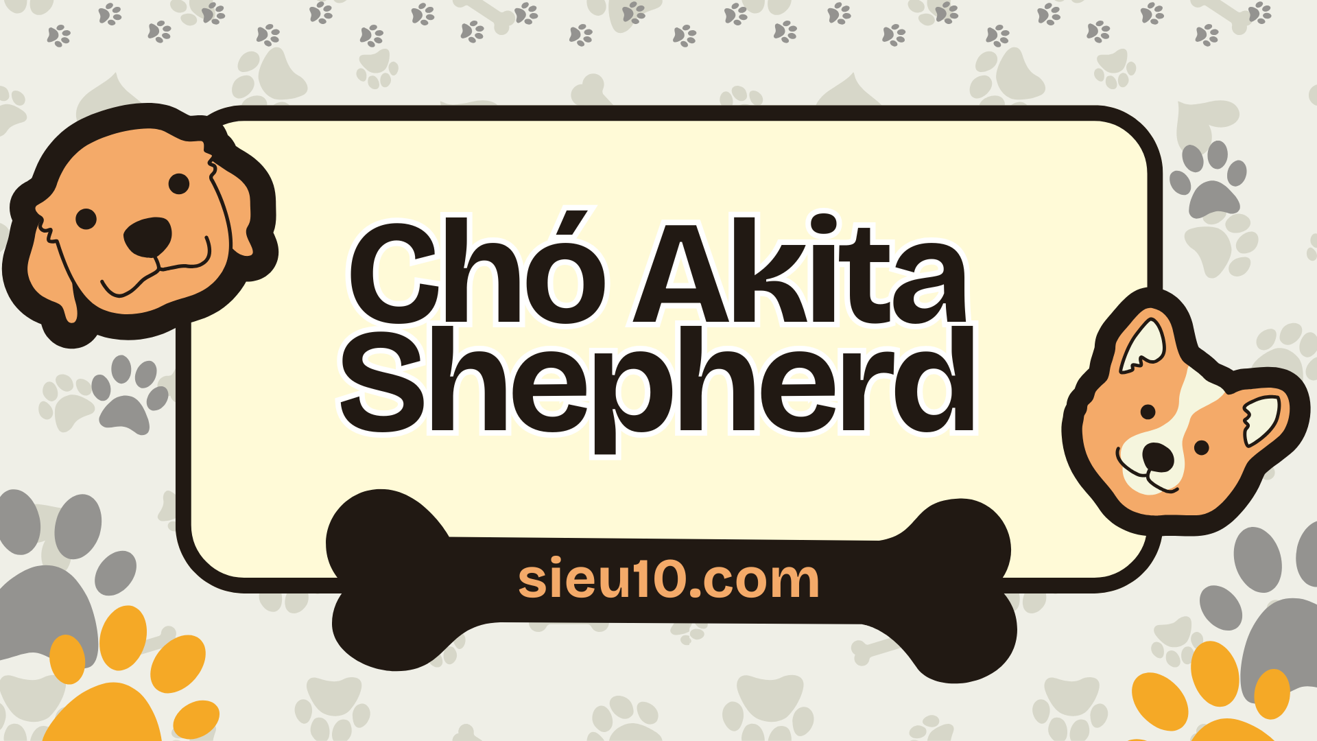 Chó Akita Shepherd Giới thiệu và lựa chọn hàng đầu